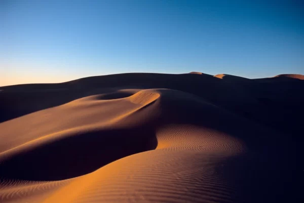Dunas, Gran Desierto de Altar, Sonora. Copy