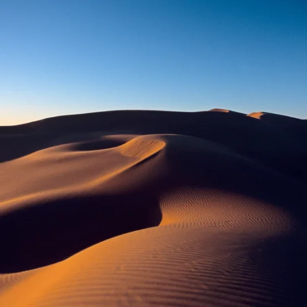 Dunas, Gran Desierto de Altar, Sonora.