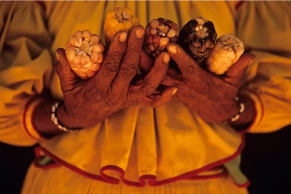 Manos de mujer huichol, comunidad wixarika, Sierra Madre Occidental.
