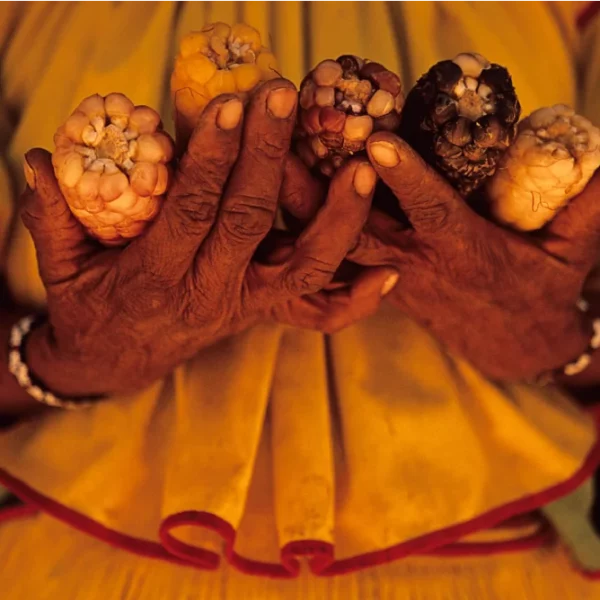 Manos de mujer huichol, comunidad wixarika, Sierra Madre Occidental.